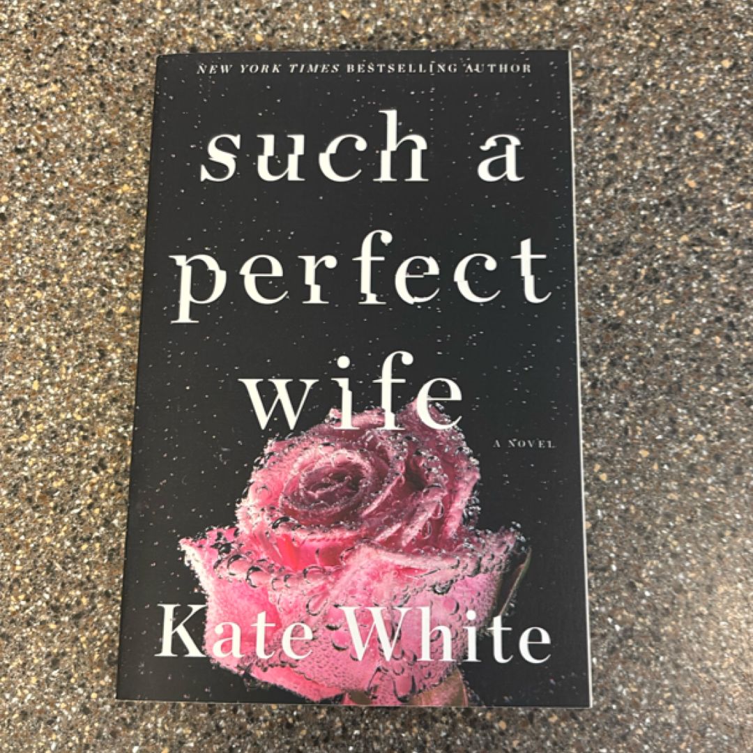 Such a Perfect Wife