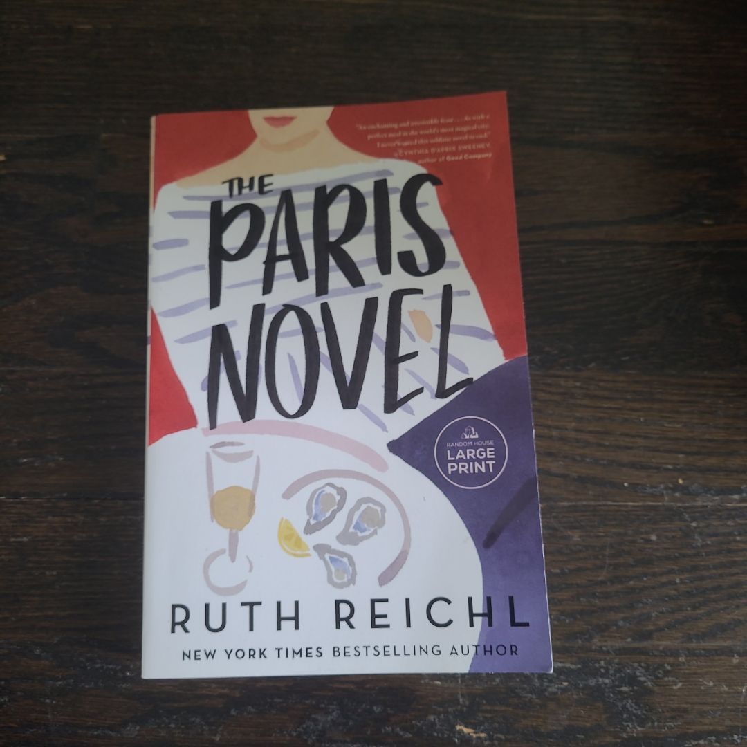 The Paris Novel