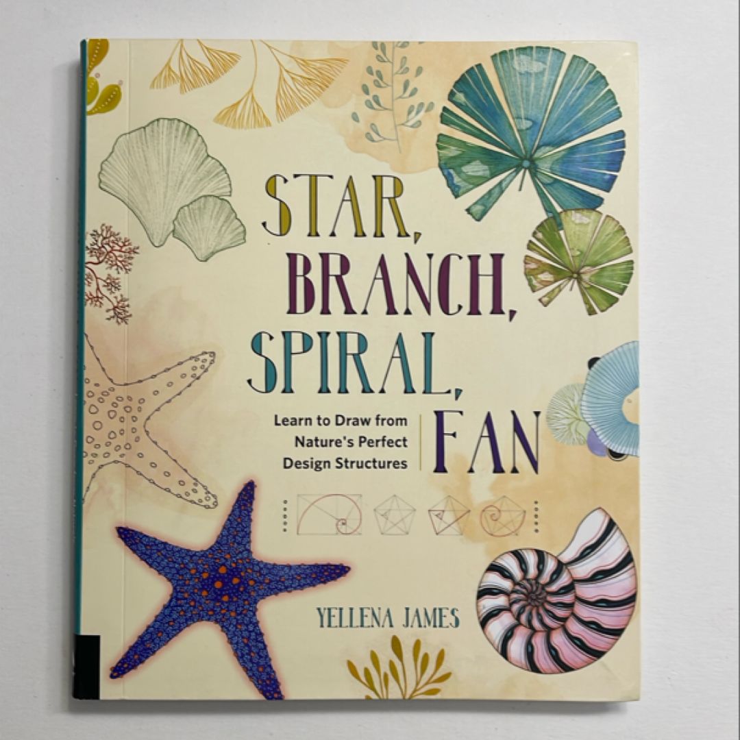 Star, Branch, Spiral, Fan