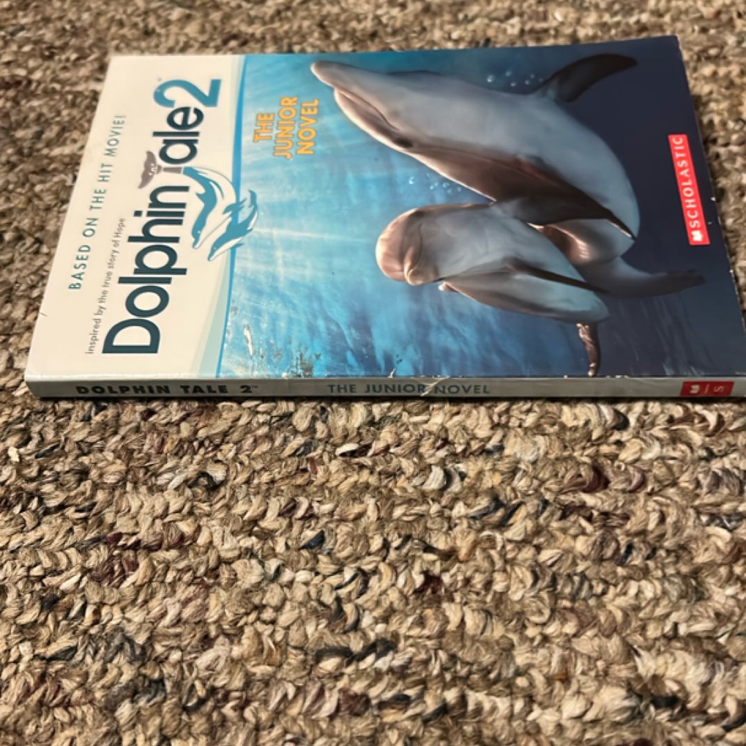 Dolphin Tale 2