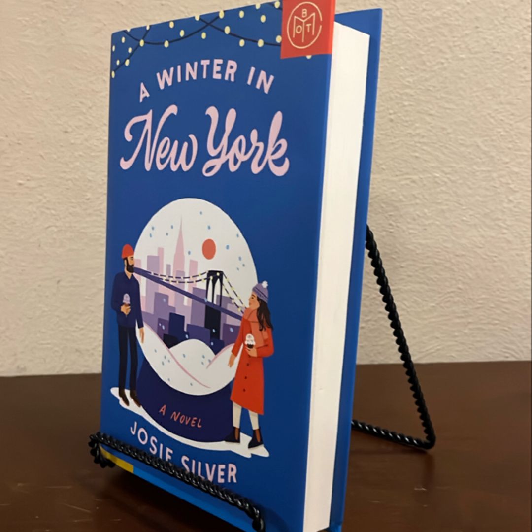 A Winter in New York