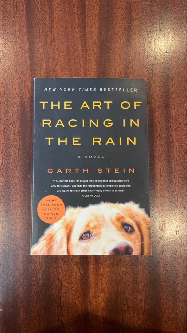 The Art of Racing in the Rain