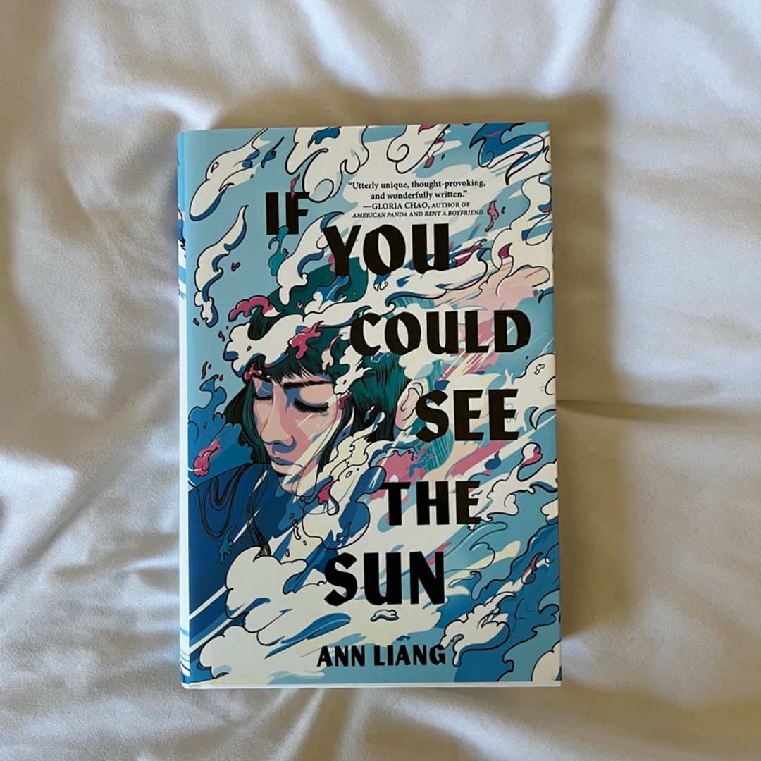 If You Could See the Sun