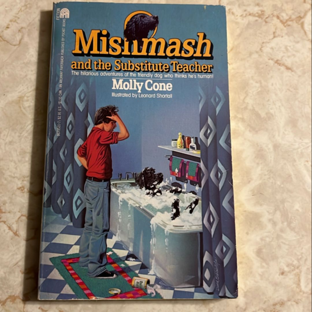 Mishmash and the Substitute Teacher