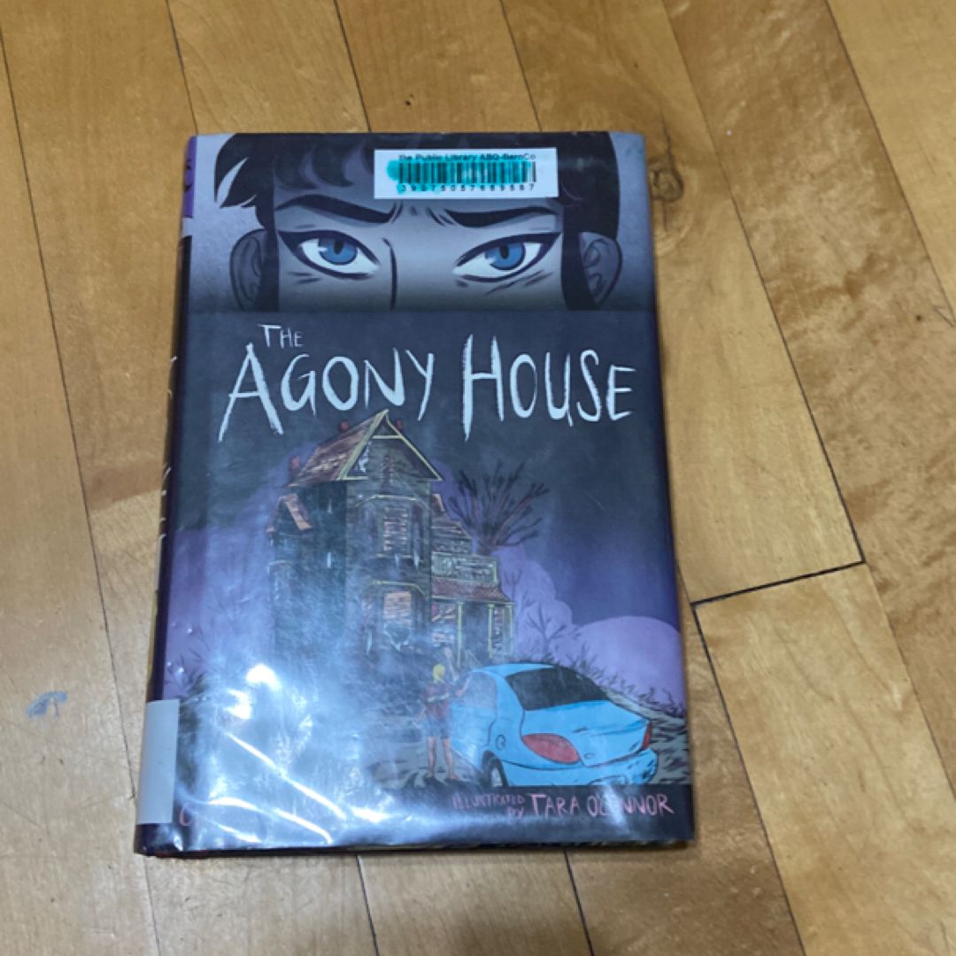 The Agony House