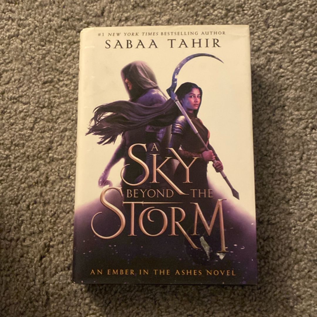A Sky Beyond the Storm
