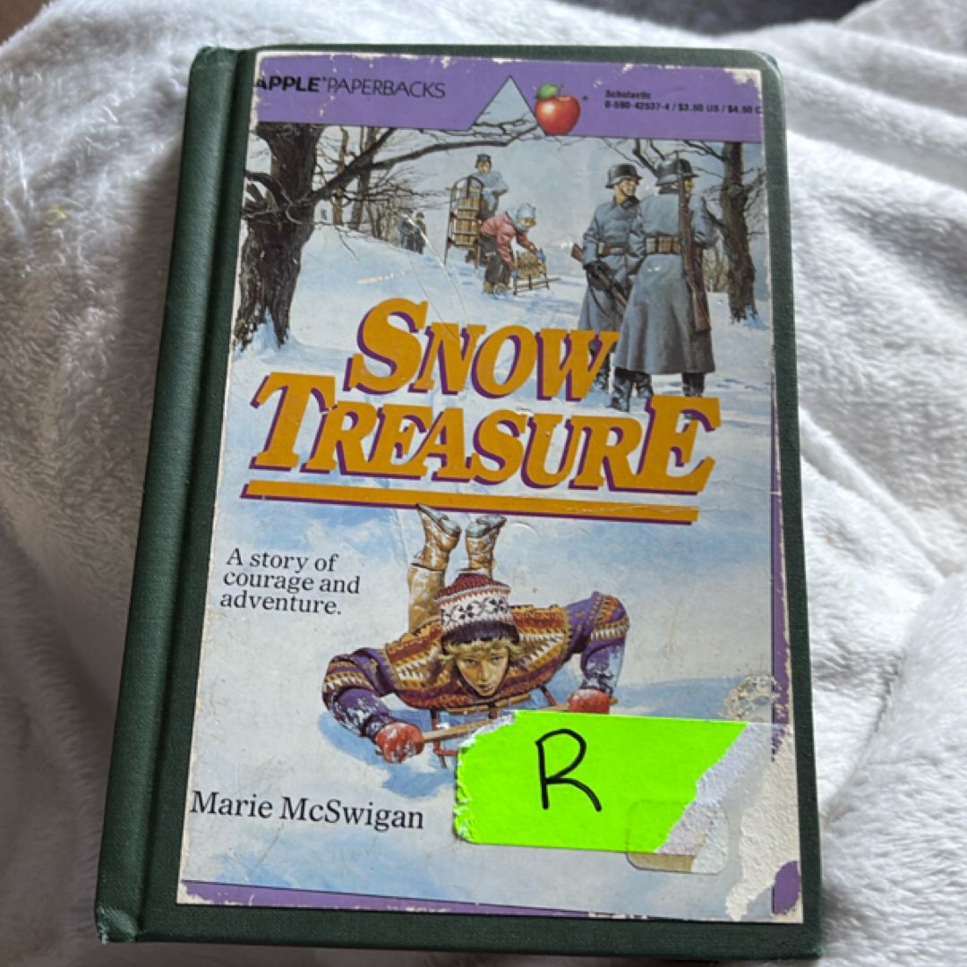 Snow Treasure
