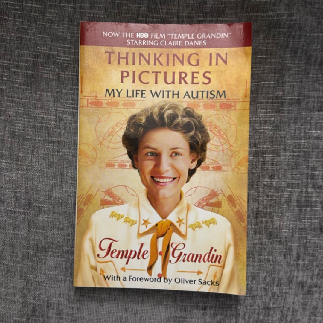 Thinking in Pictures