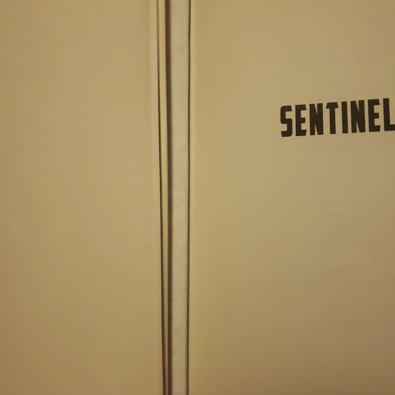 Sentinel
