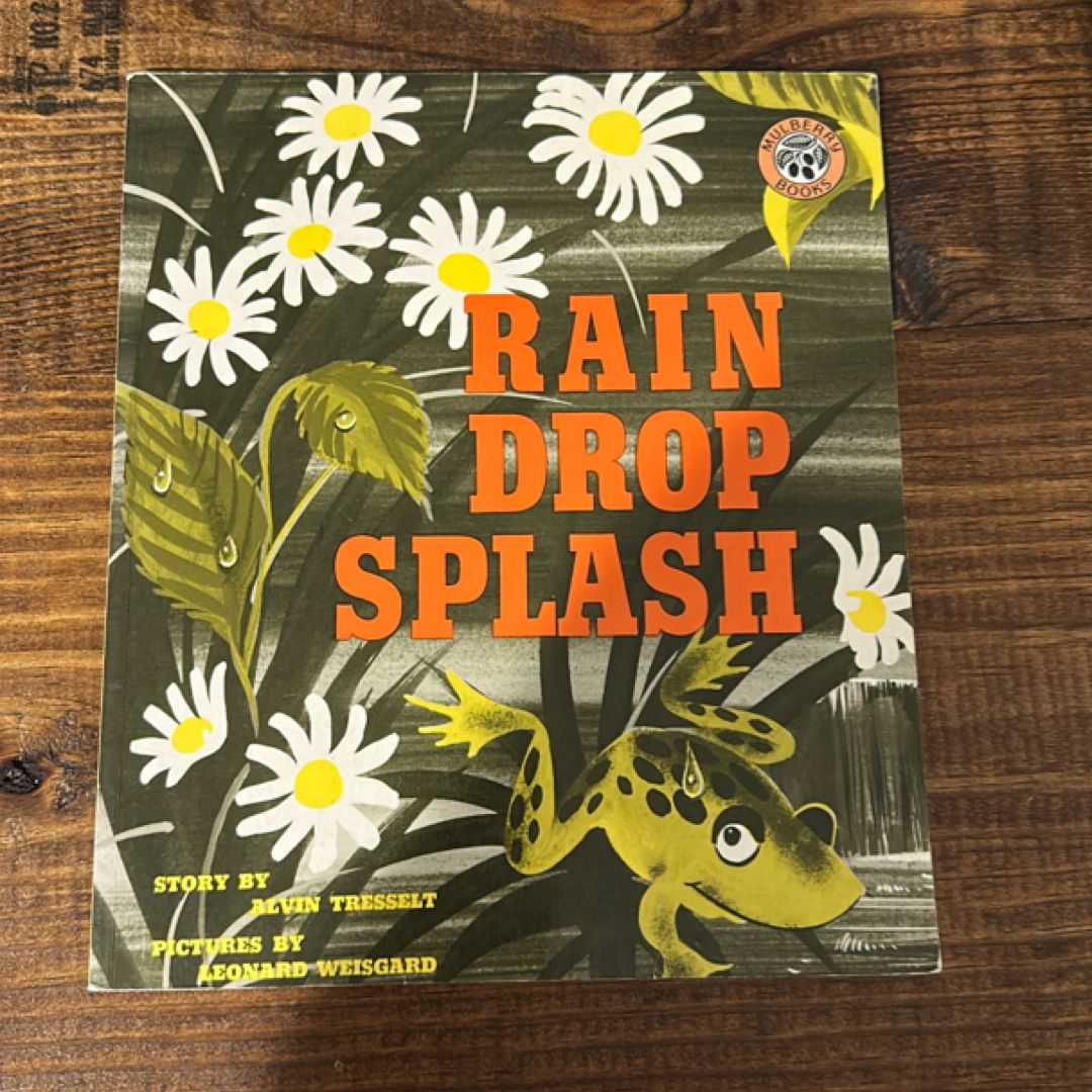 Rain Drop Splash
