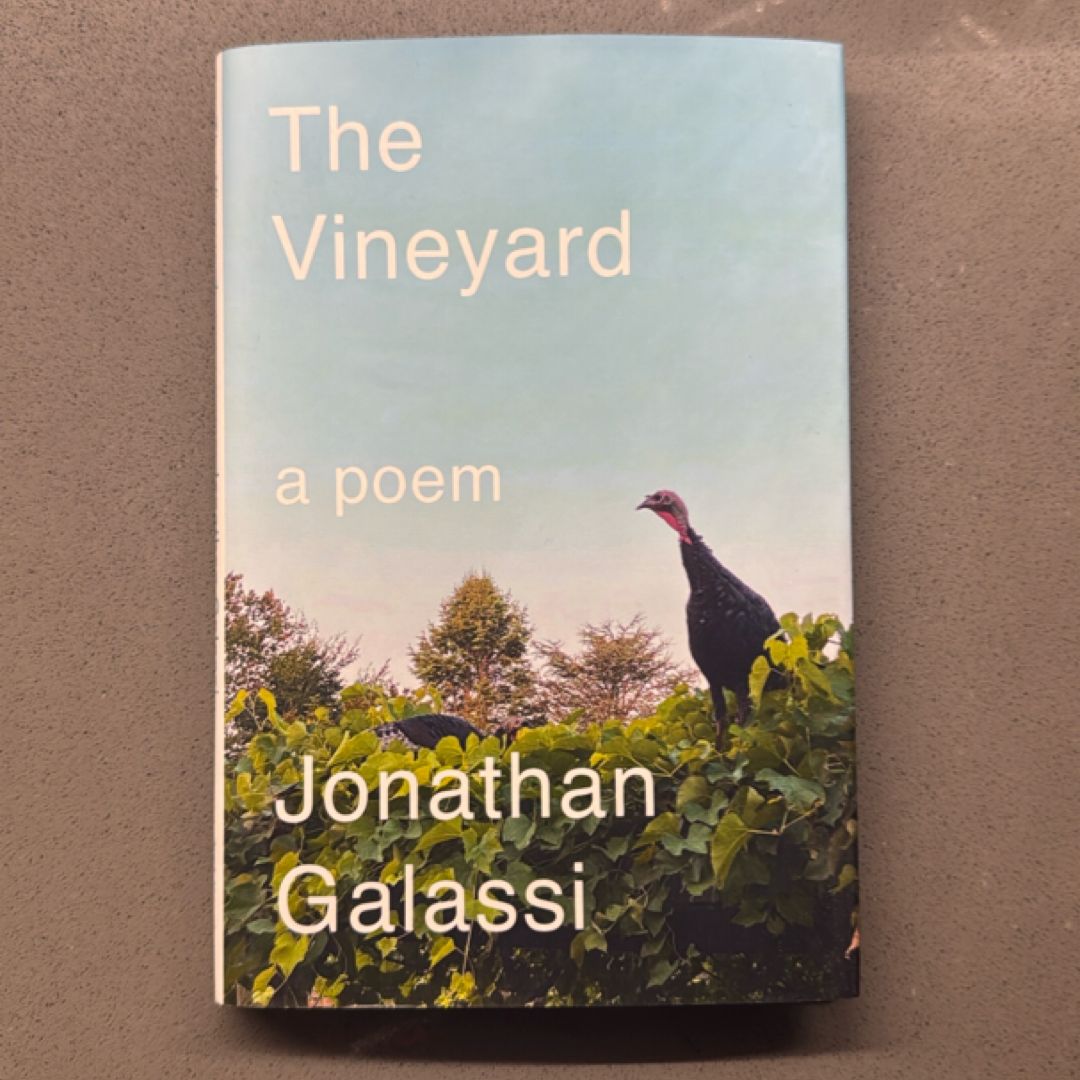 The Vineyard