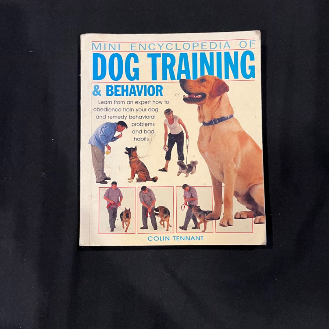 Dog Training and Behavior