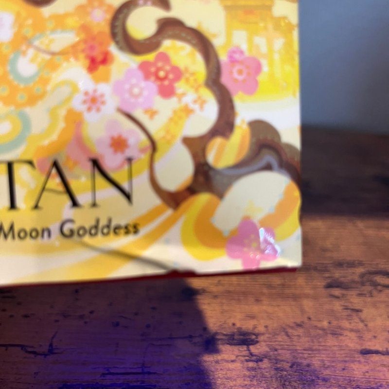 Heart of the Sun Warrior