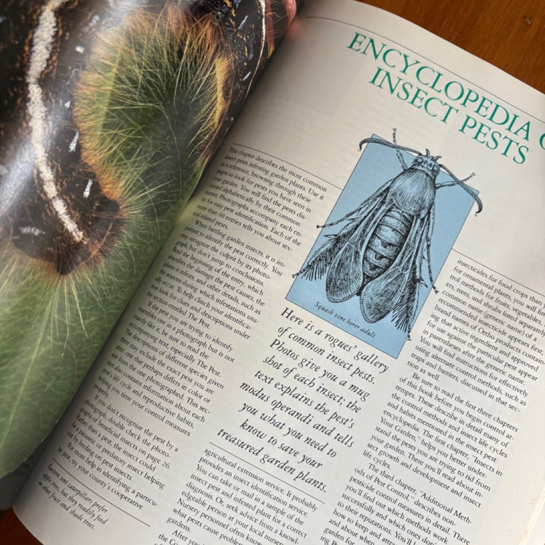 Controlling Lawn and Garden Insects