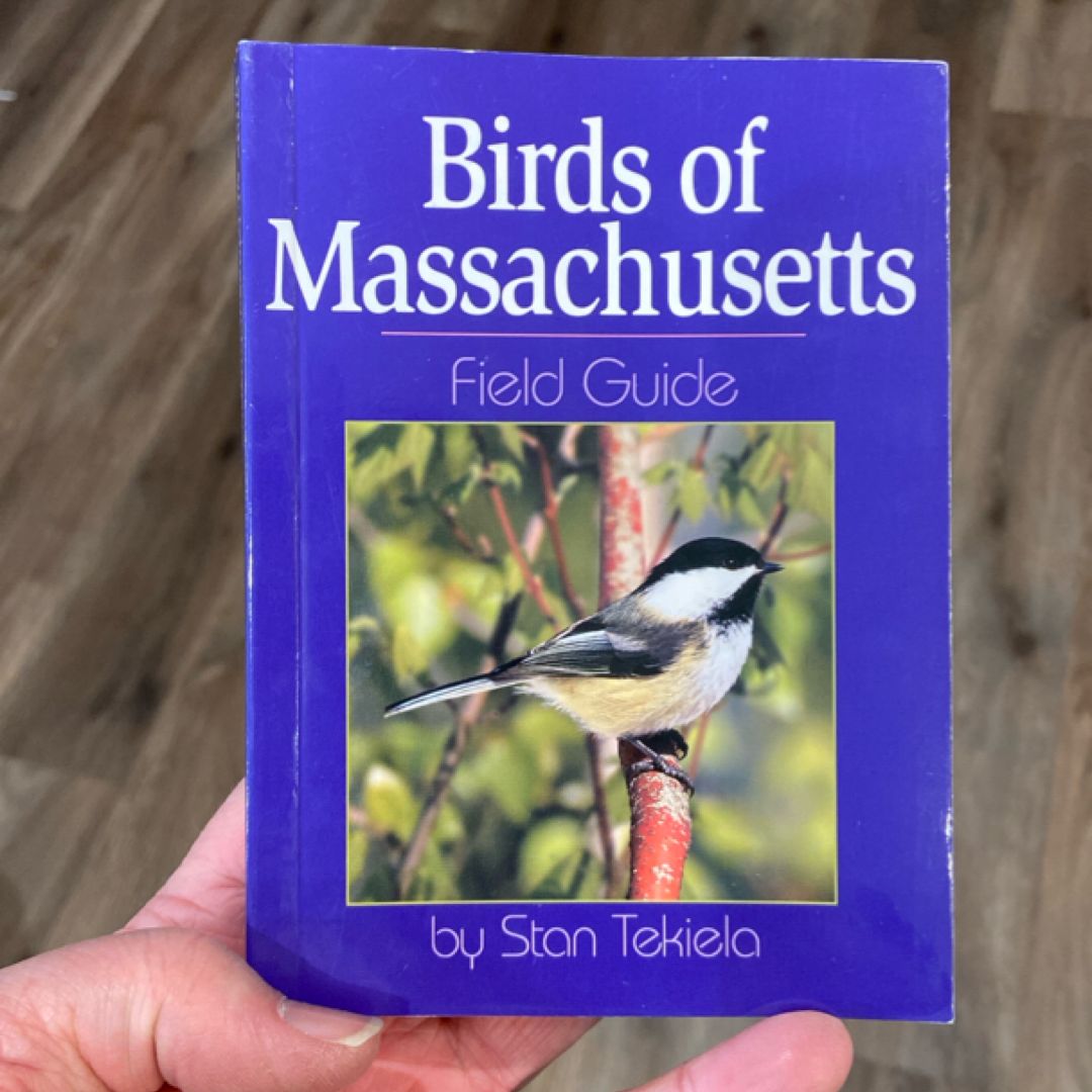 Birds of Massachusetts Field Guide