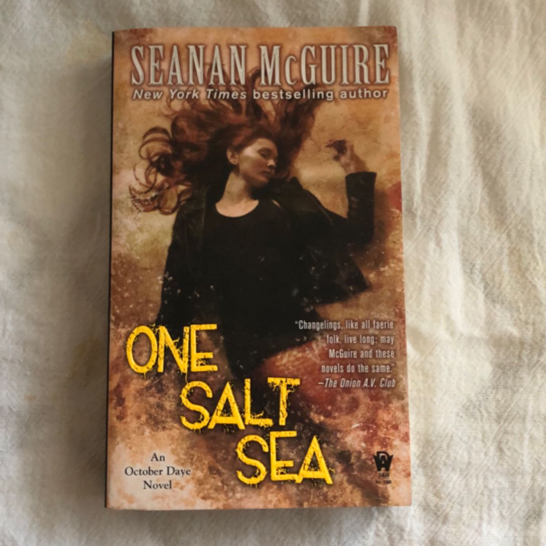 One Salt Sea