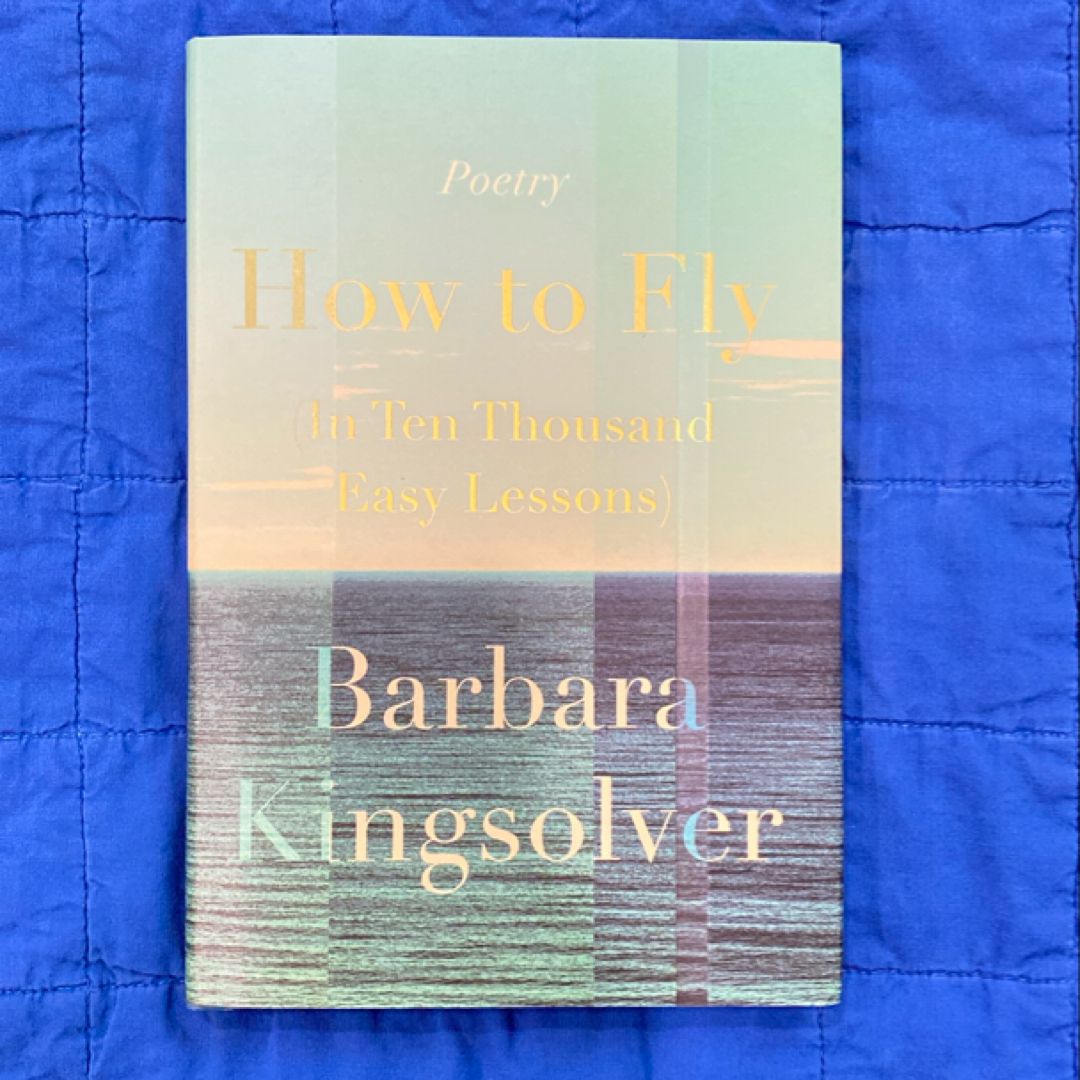 How to Fly (in Ten Thousand Easy Lessons)