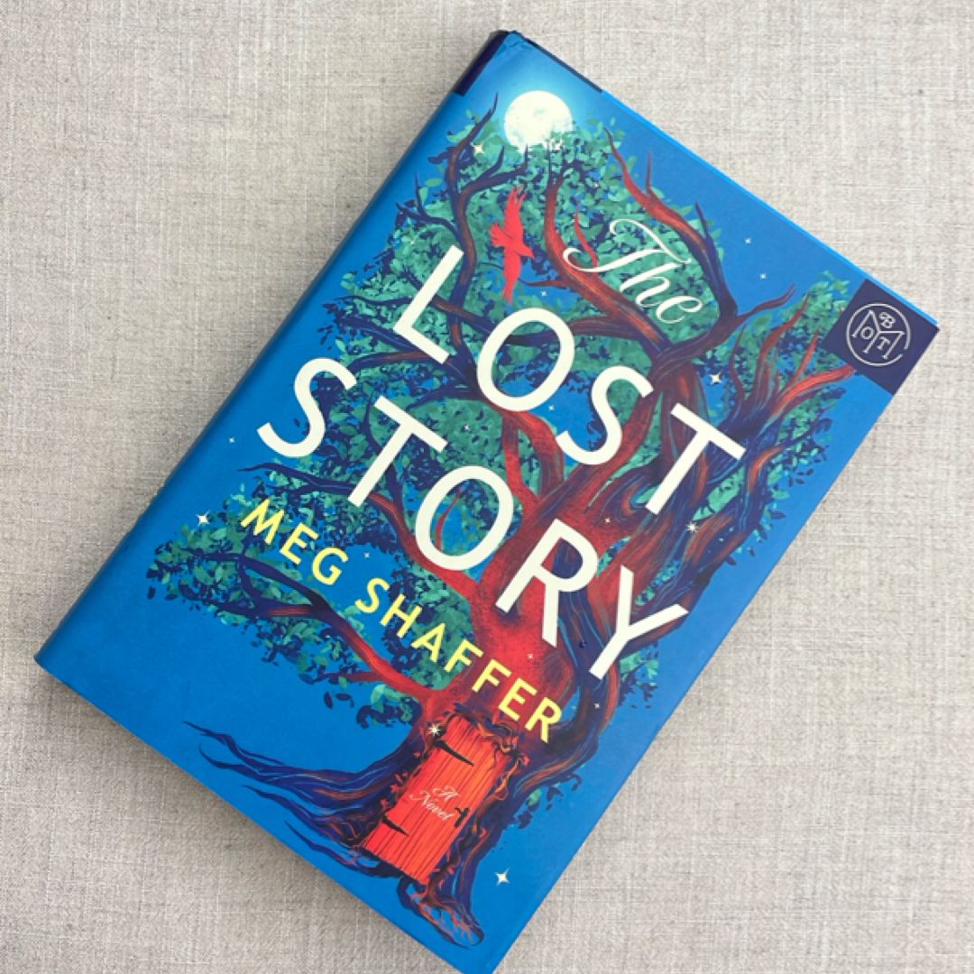 The Lost Story