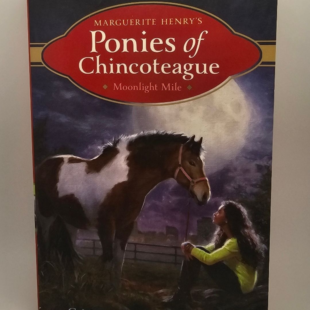 Ponies of chincoteague 