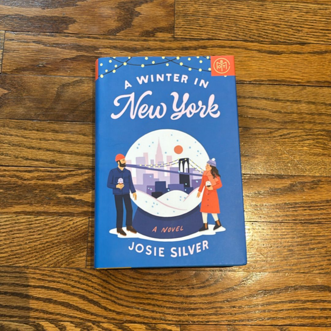 A Winter in New York