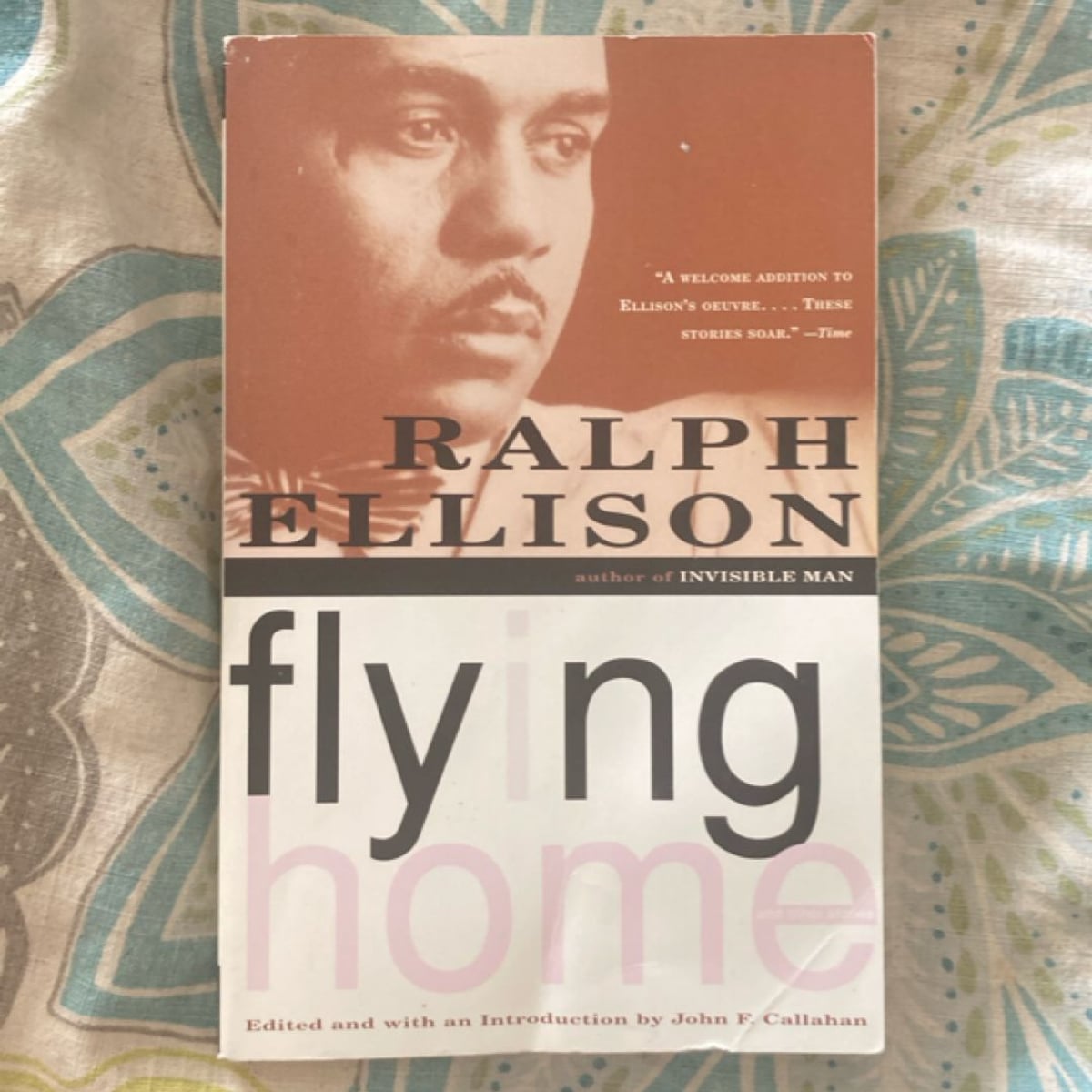 Flying Home by Ralph Ellison