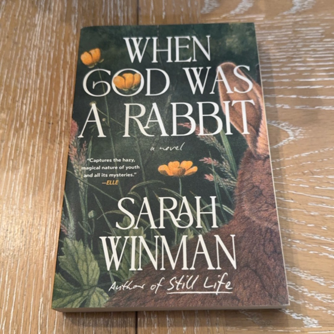 When God Was a Rabbit