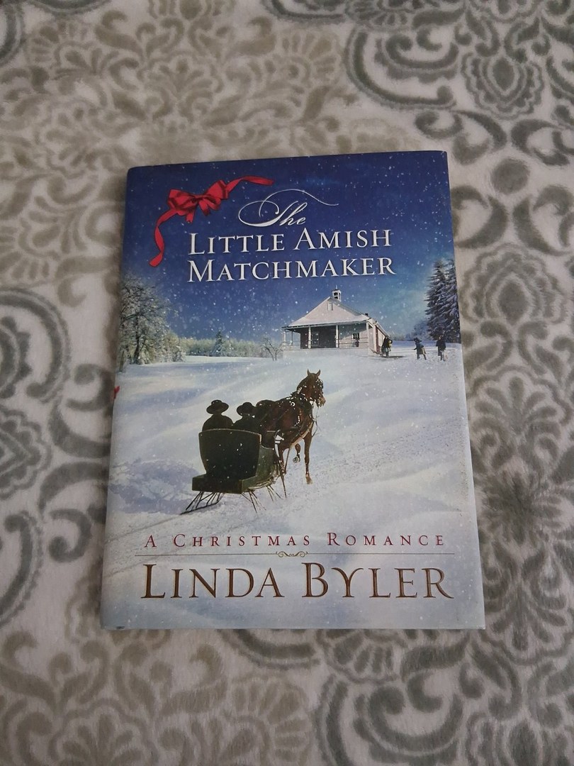 Little Amish Matchmaker