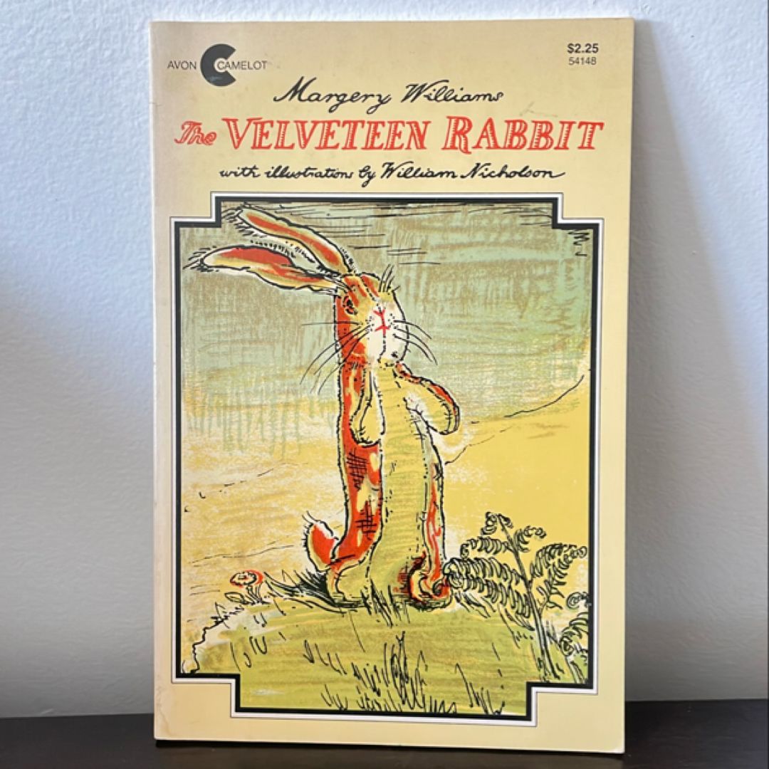 #92 The velveteen rabbit 