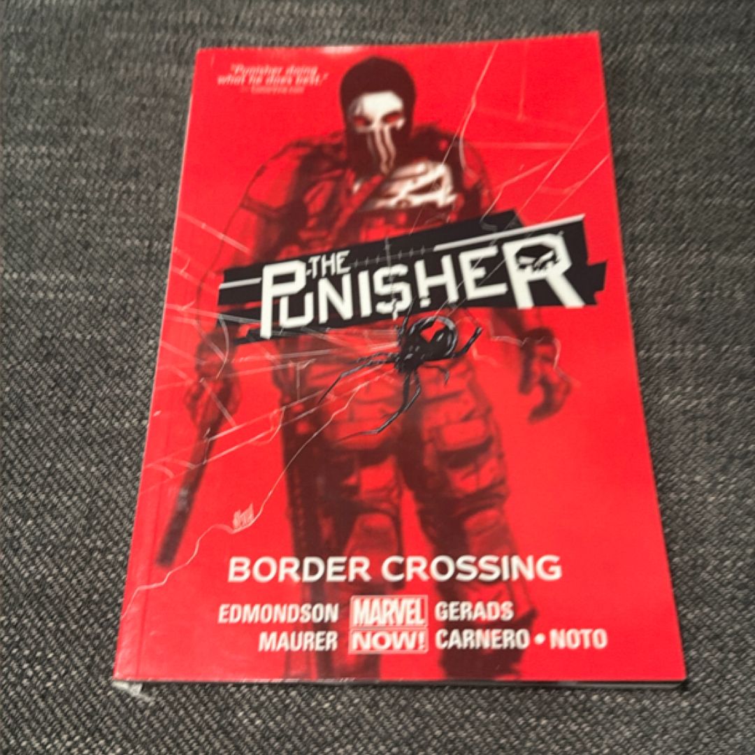 The Punisher Volume 2