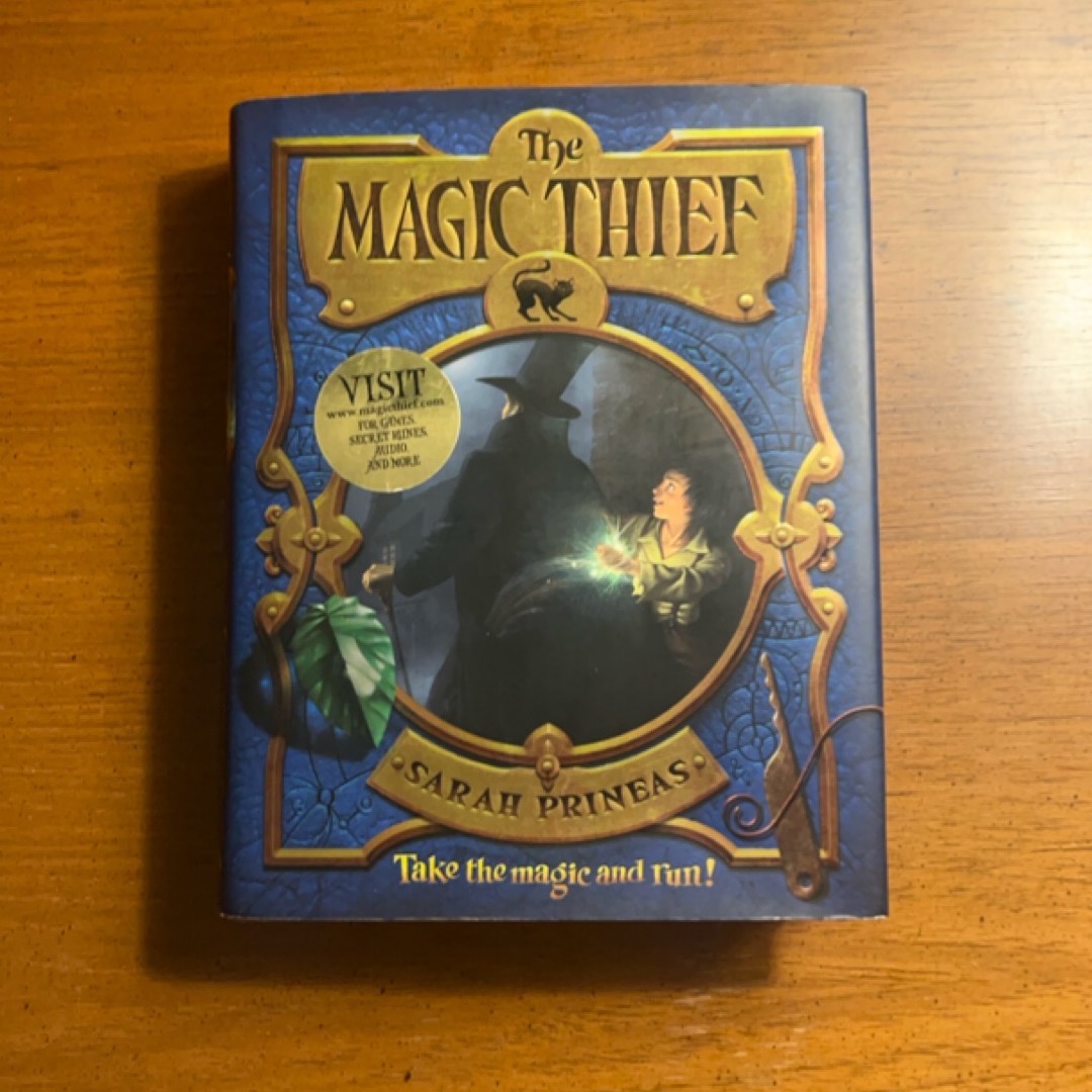 The Magic Thief