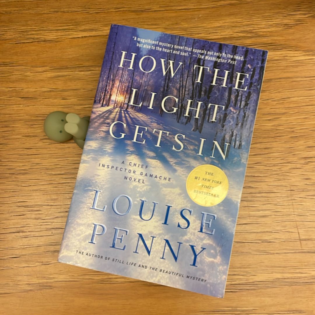 How the Light Gets In