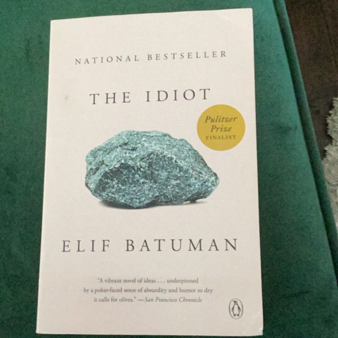 The Idiot