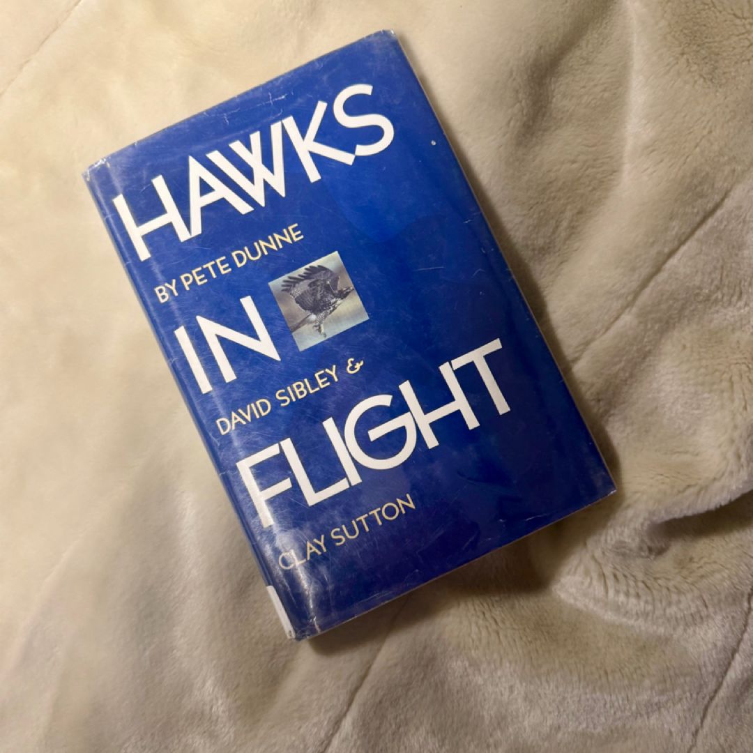 Hawks in Flight