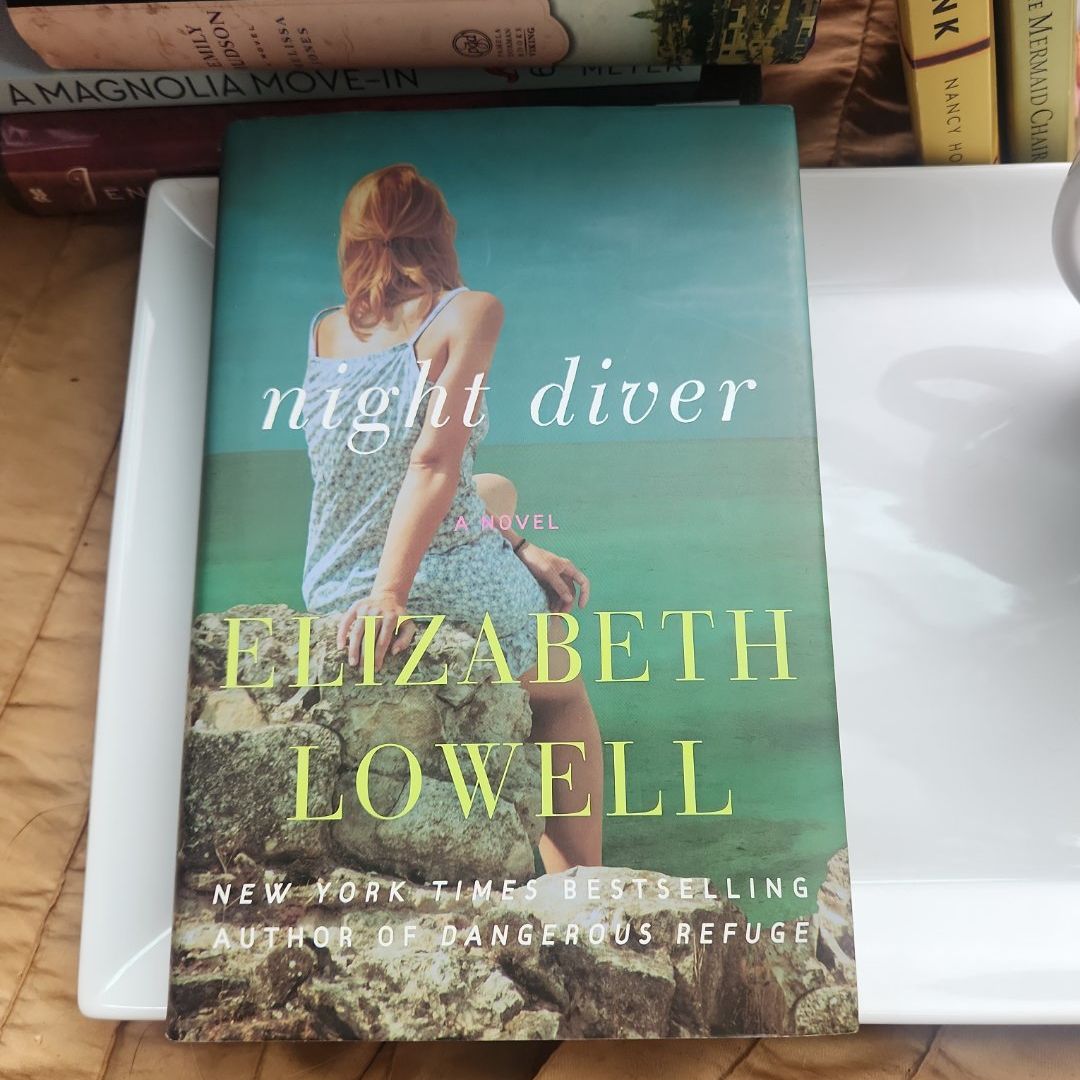 Night Diver
