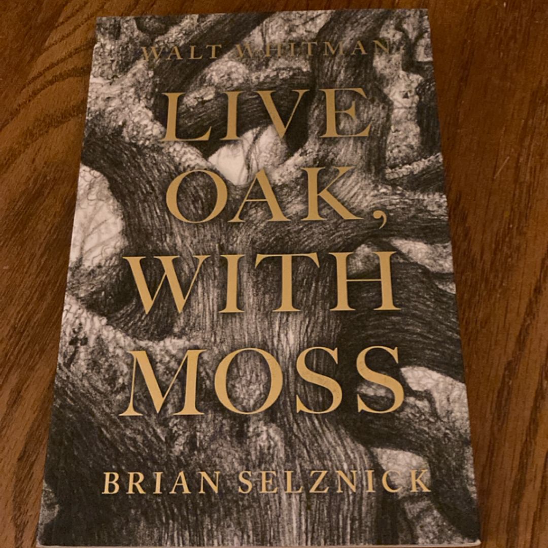 Live Oak, with Moss