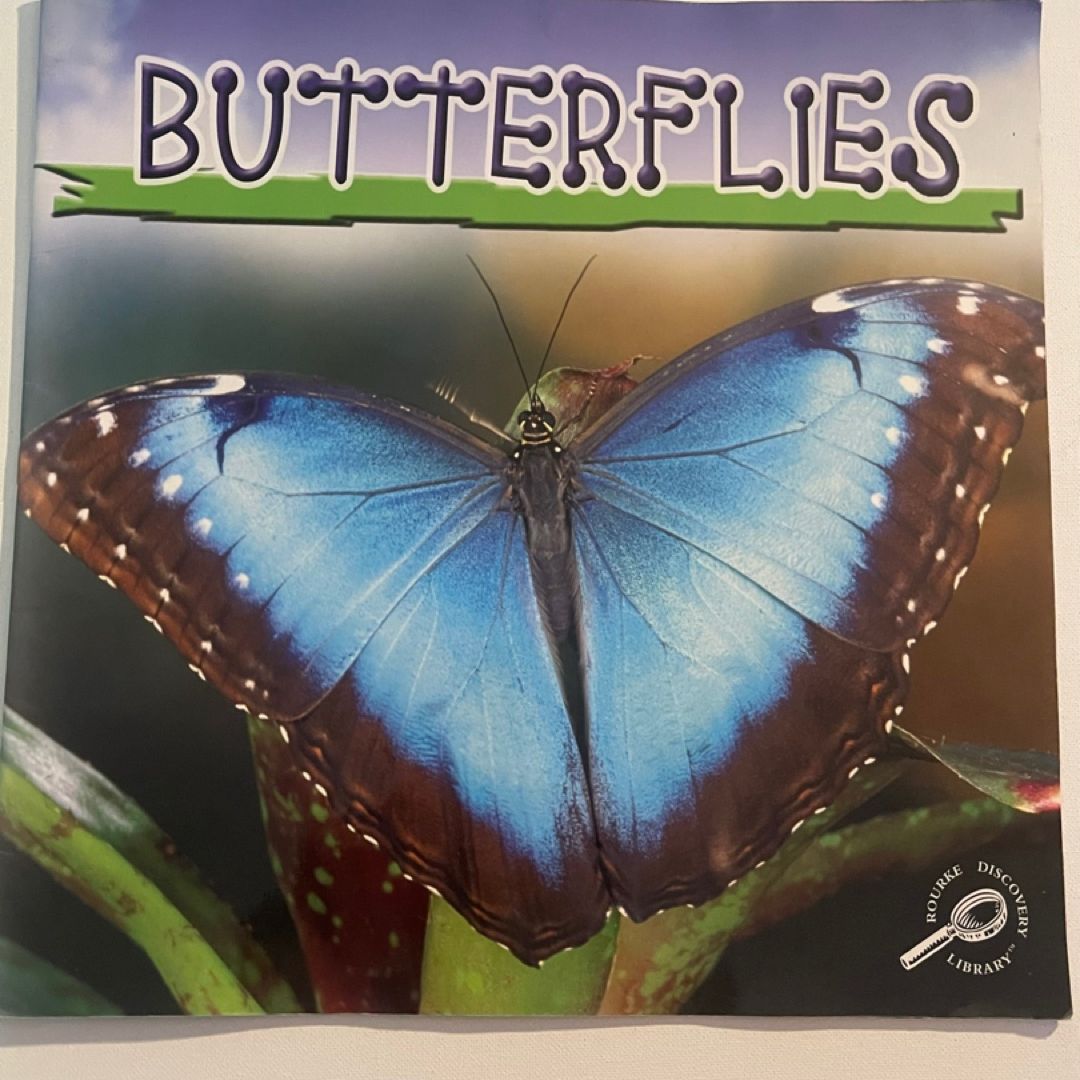 Butterflies