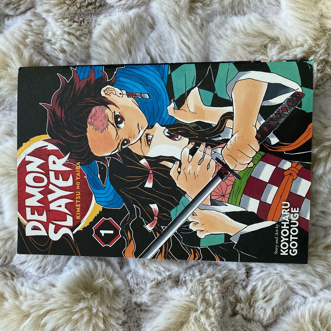 Demon Slayer: Kimetsu No Yaiba, Vol. 1