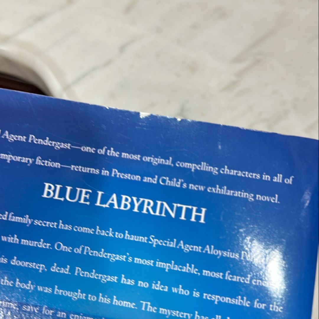 Blue Labyrinth by Douglas Preston, Lincoln Child
