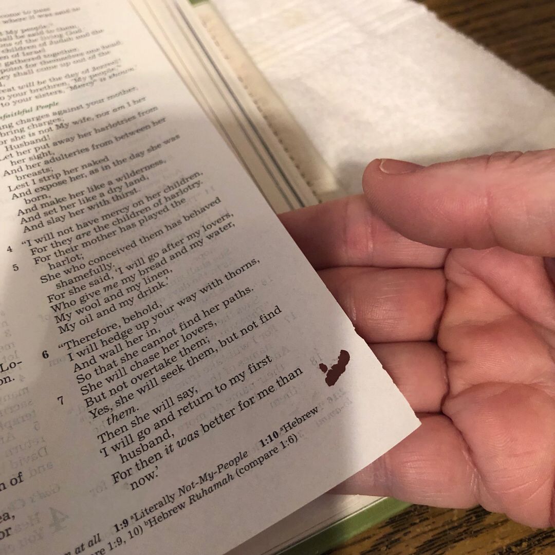 Reflections from the Heart of God