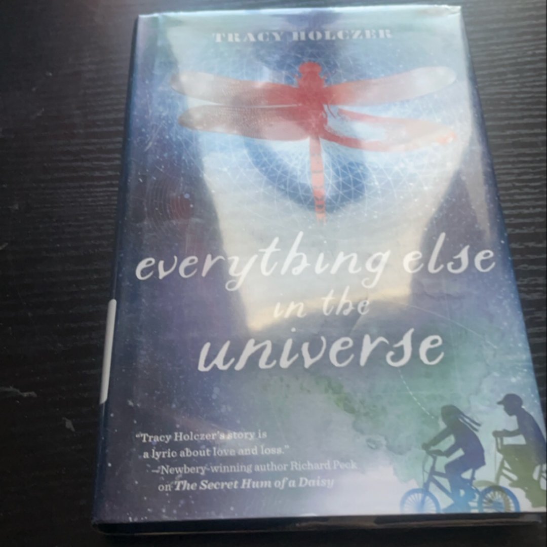 Everything Else in the Universe