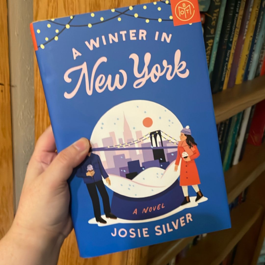 A Winter in New York