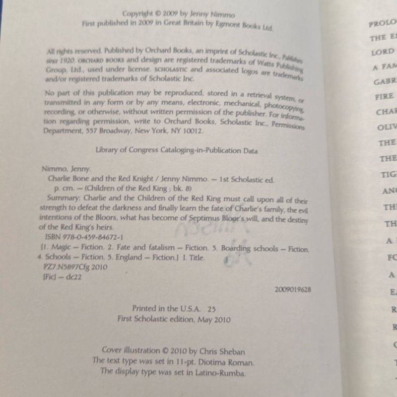 Charlie Bone and the Red Knight