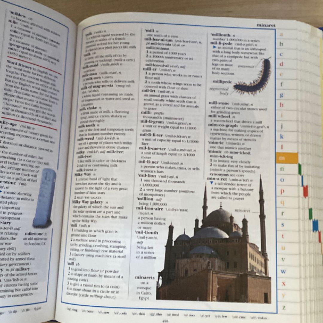 Merriam-Webster Children's Dictionary, New Edition