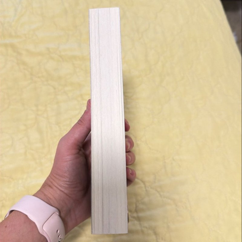 Rhapsodic (the Bargainers Book 1)