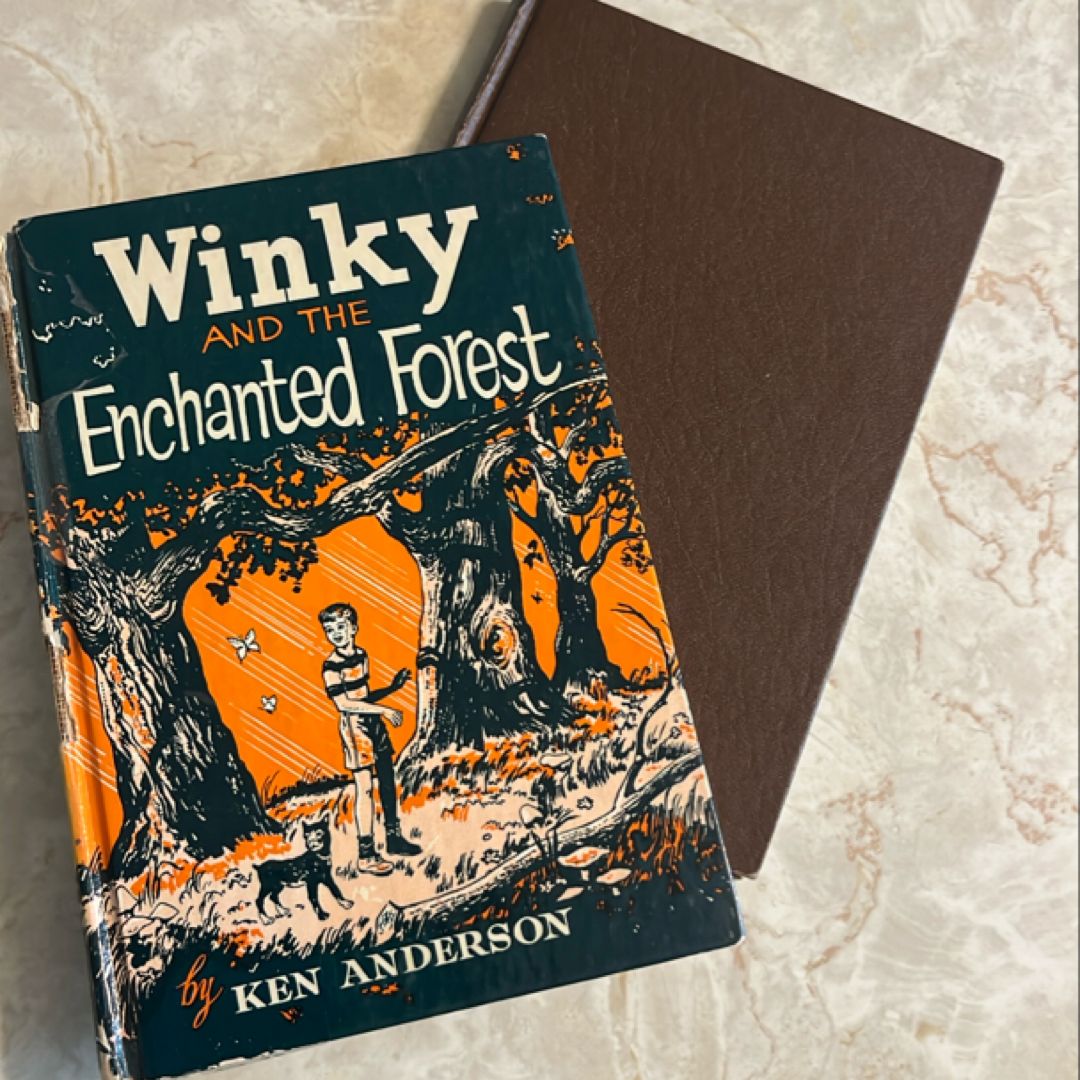 Winky book bundle of 2