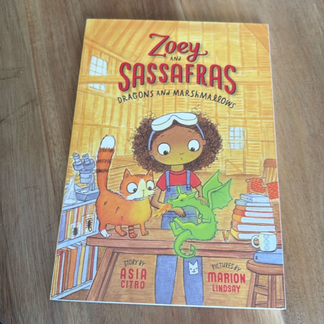 Dragons and Marshmallows