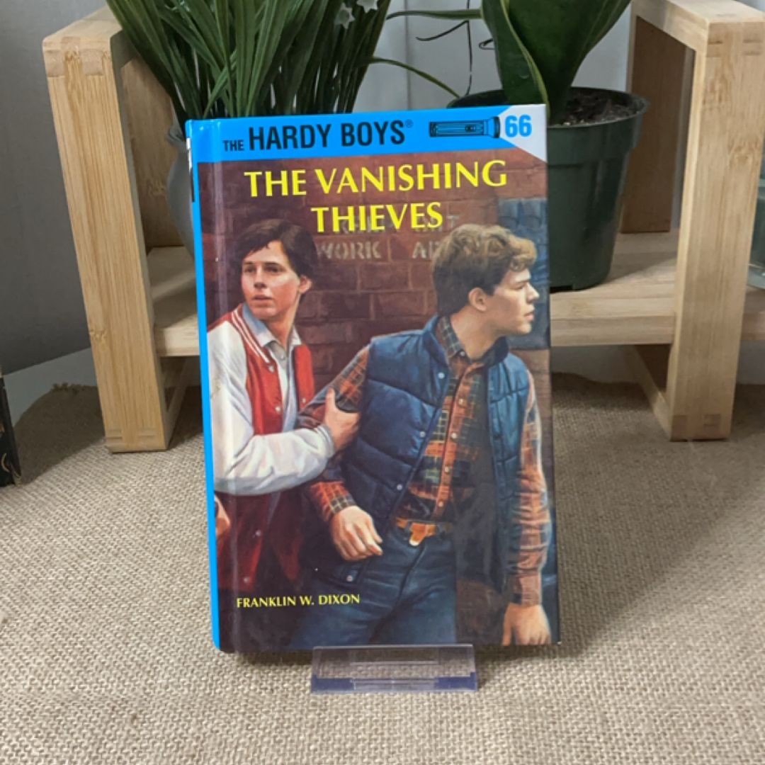 The Vanishing Thieves