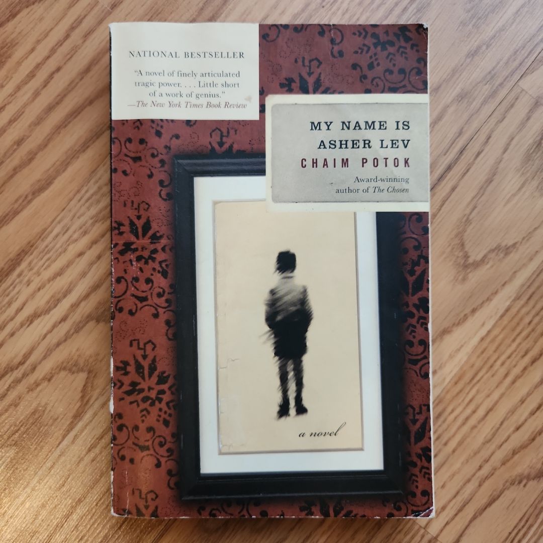 My Name Is Asher Lev