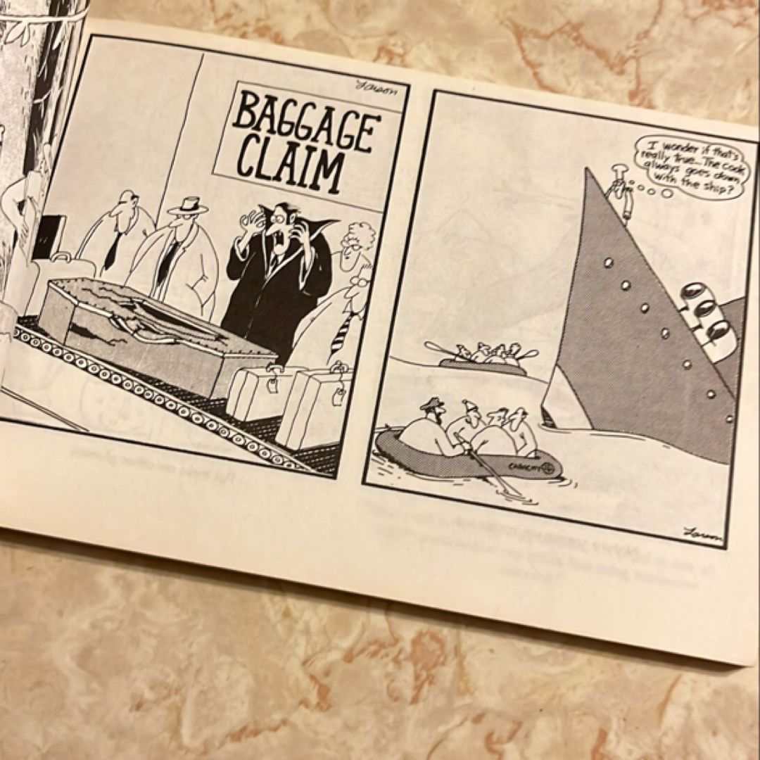 In Search of the Far Side