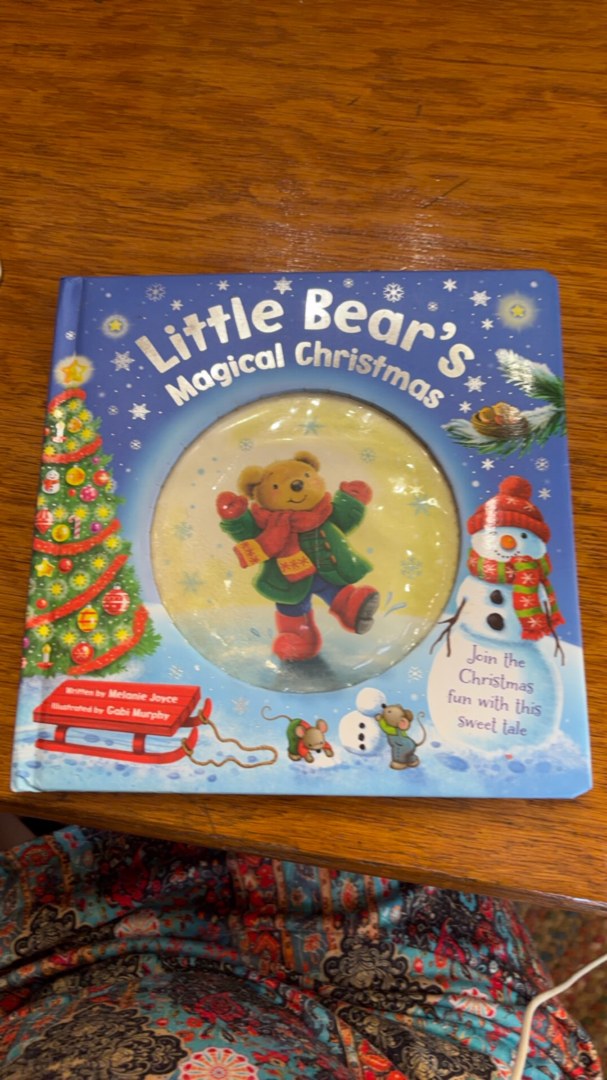 Little Bear's Magical Christmas